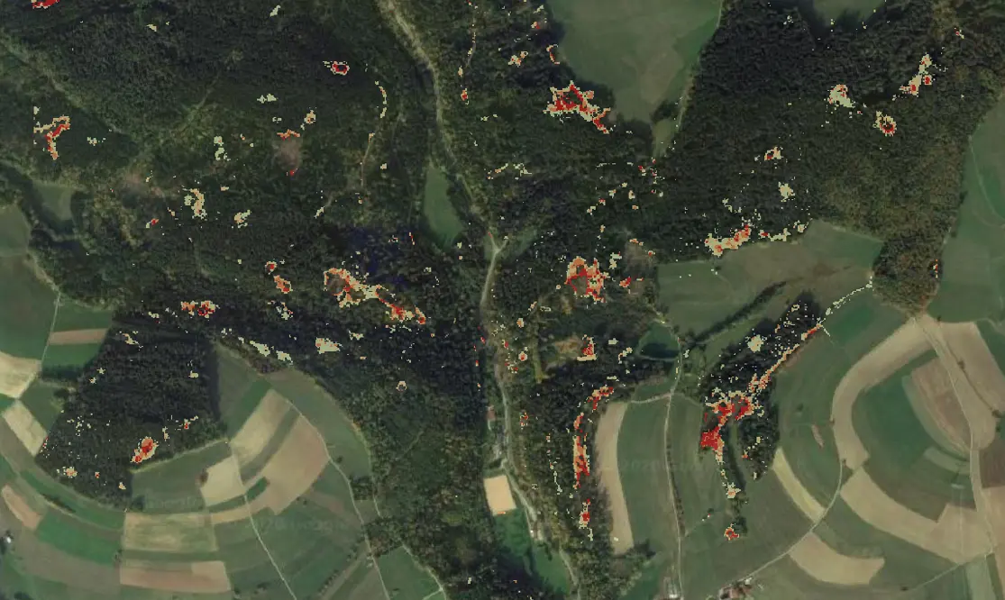 Satellite image of a forest with bark beetle damage marked in red