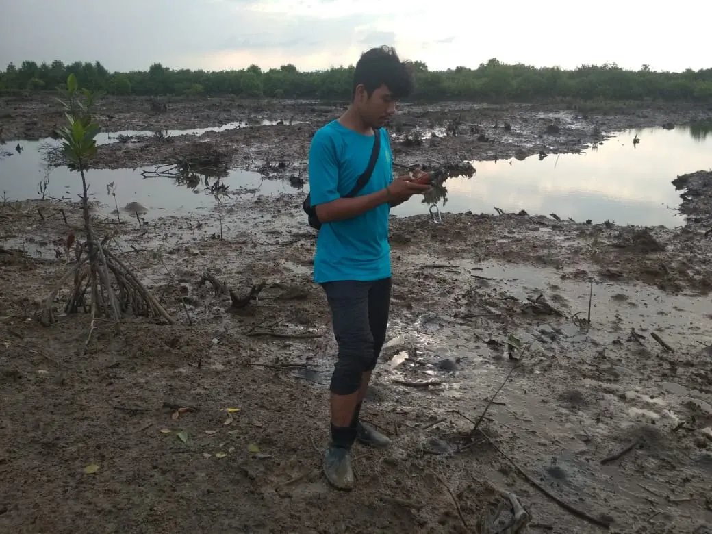 A field worker records planting activity with an app in a mangrove area